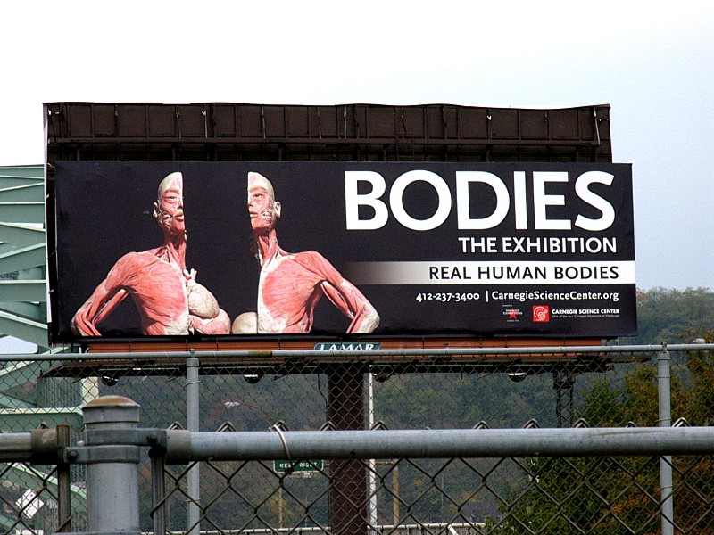 [Bodies+Billboard.jpg]