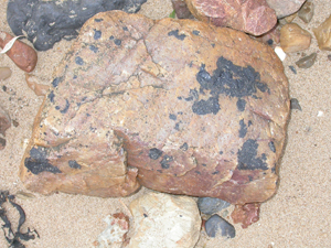 [piedras-3.jpg]