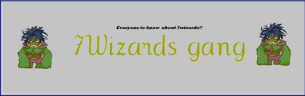 7wizards