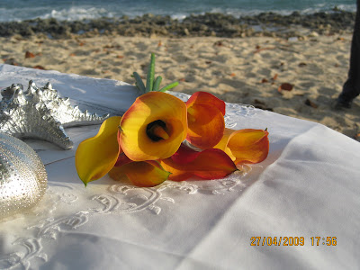 Just say Oui to this Grand Cayman Beach Wedding - image 2 Just say Oui to this Grand Cayman Beach Wedding - image 2