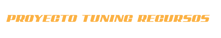 PROYECTO TUNING RECURSOS