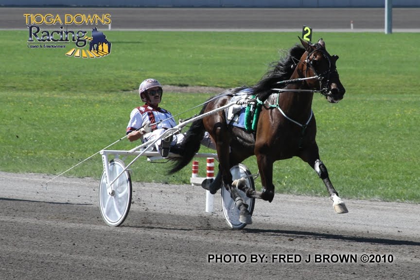 Tioga Downs Casino Resort Harness Racing's Division Champions Crowned