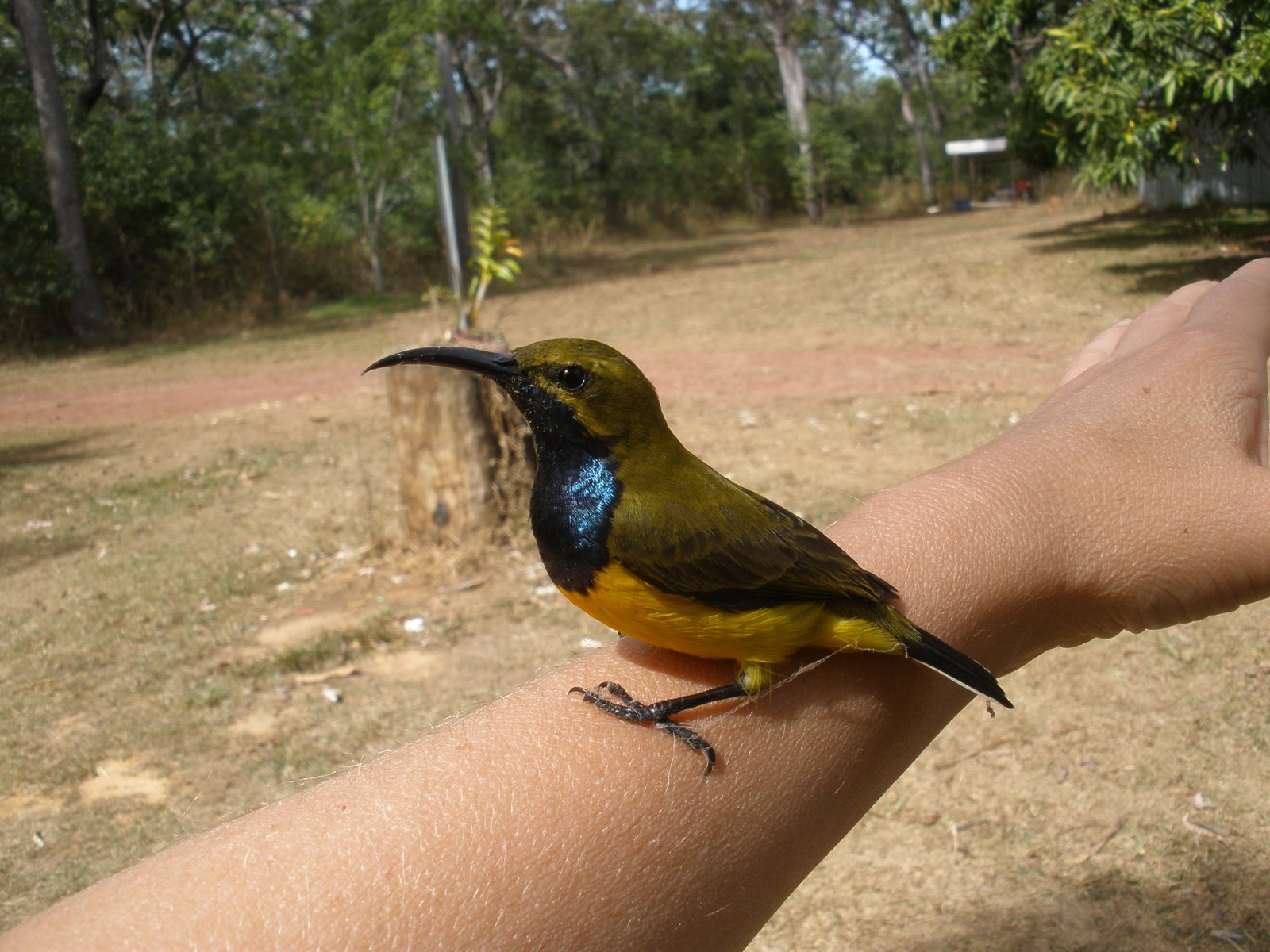 [P8100014.JPG]