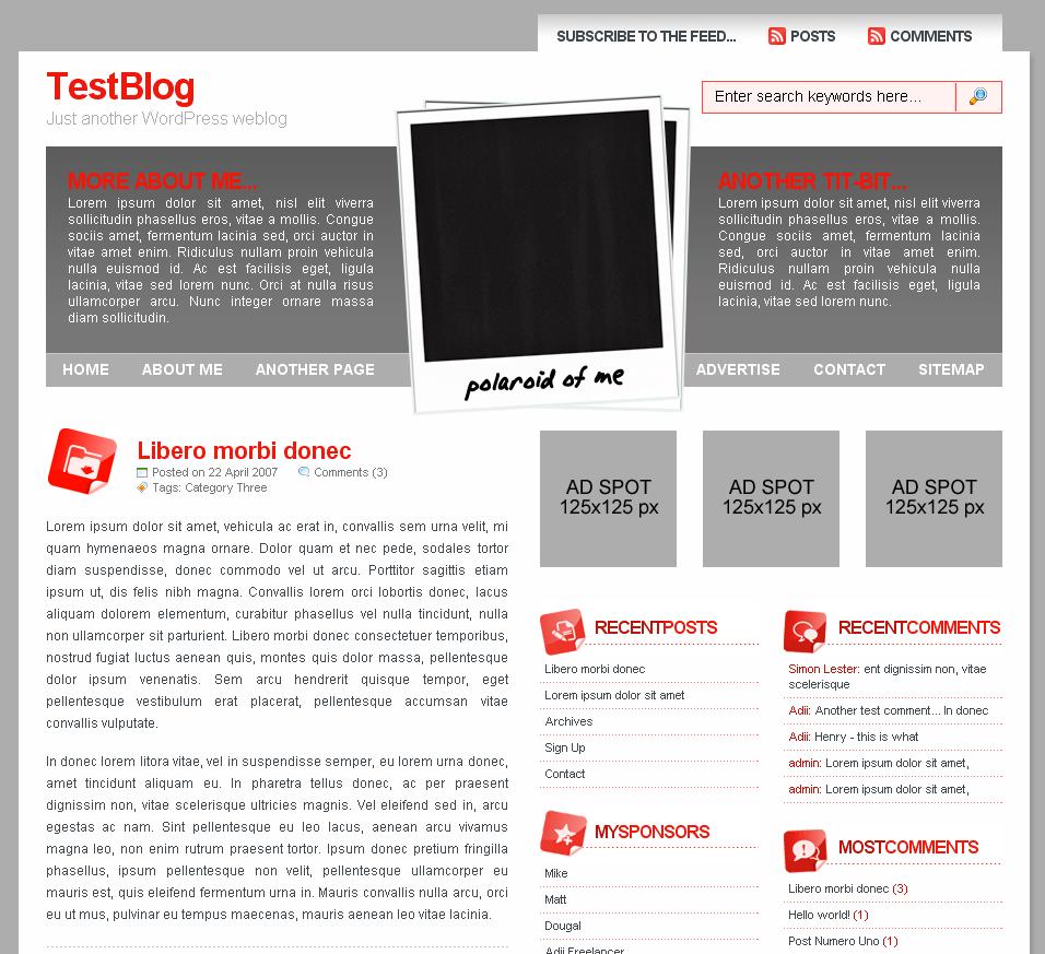 [Polaroid+Blogger+Template.JPG]