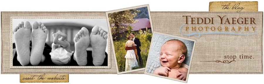 Stop Time:  Teddi Yaeger Photography Blog