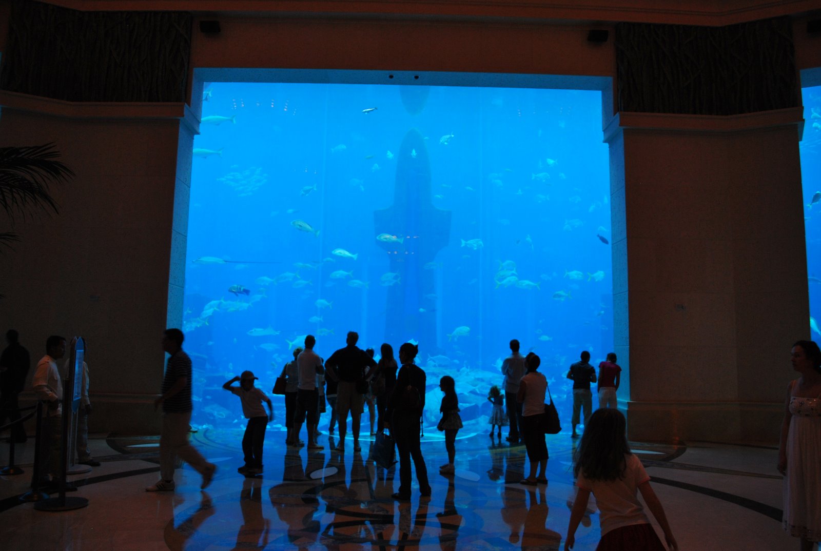 [DSC_3445.JPG]