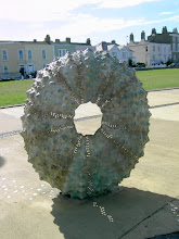 the shell