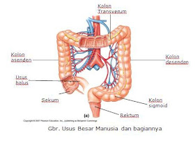 Our Biology Januari 2010