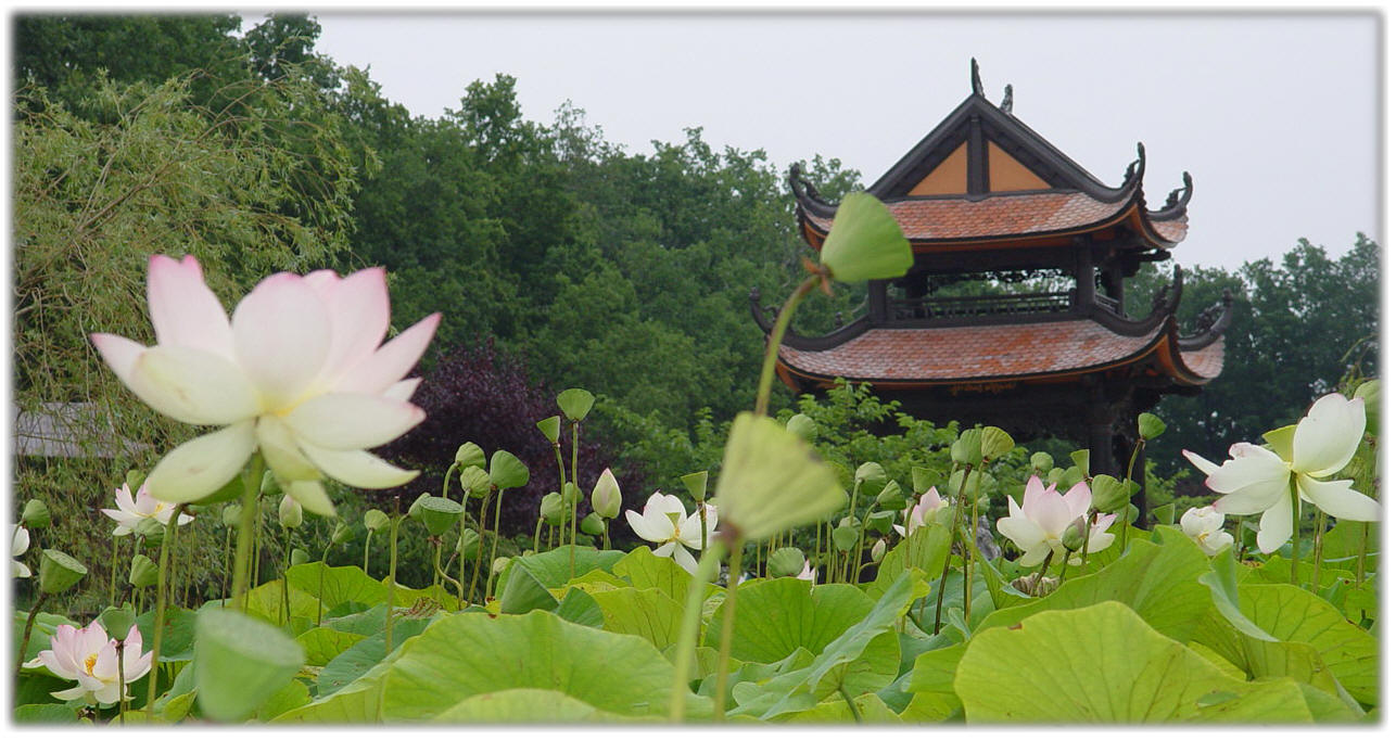 Plum+Village+3 (image)