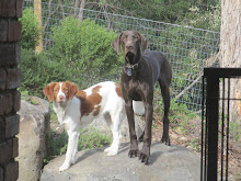 The Hounds - Ginny and Lennox