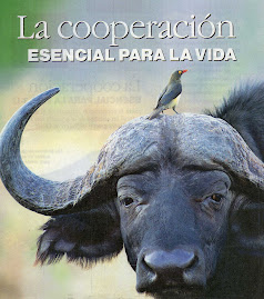 COOPERACIÓN