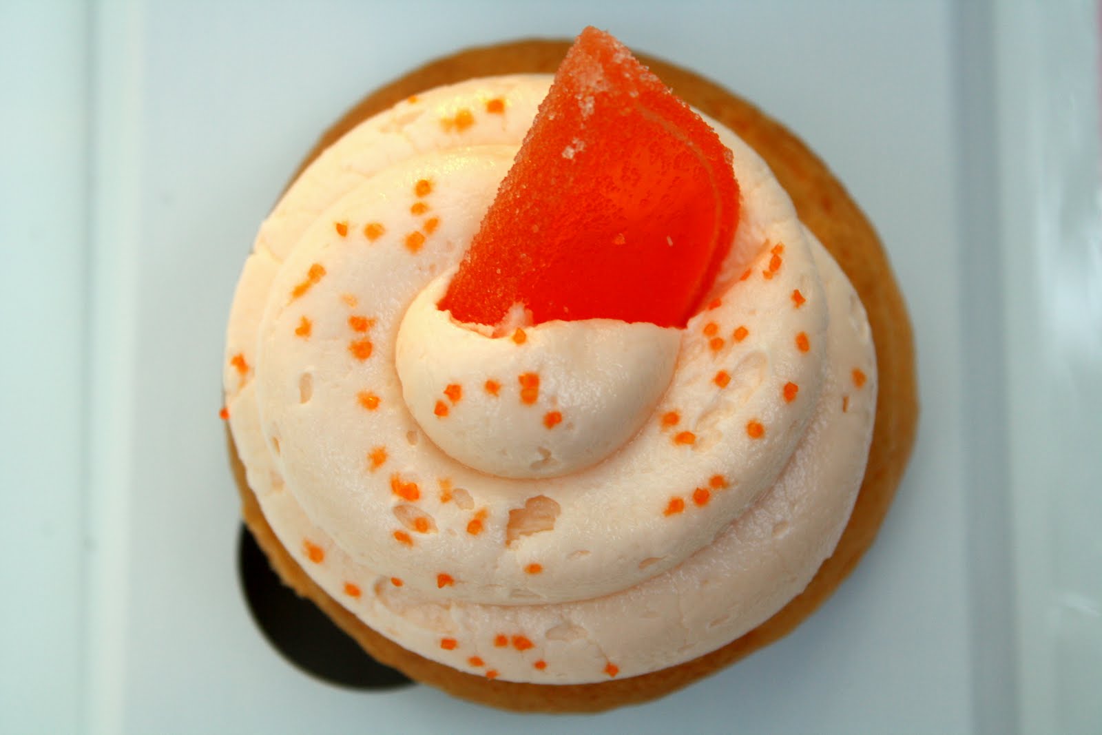 Cave Cibum Cape Cod Roundup