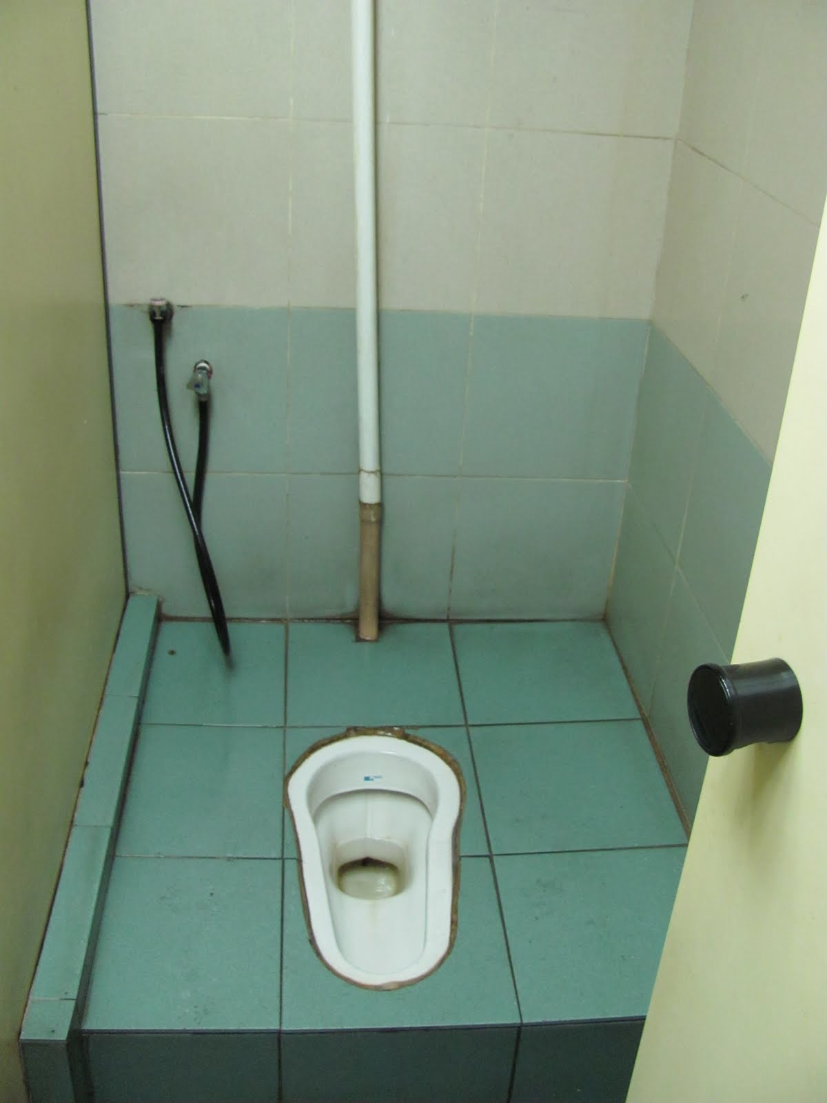 Mark McGinley's Fulbright in Malaysia Malaysian Toilets
