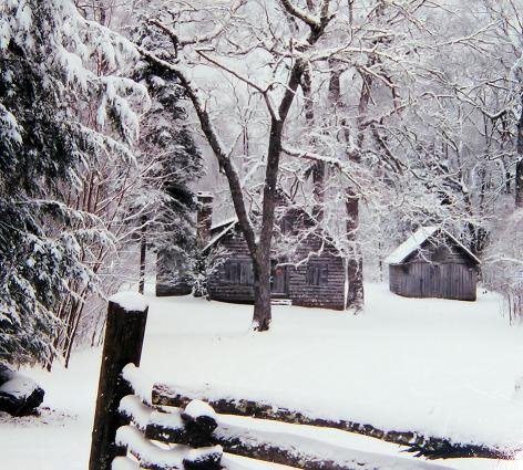 [cabin+2.jpg]