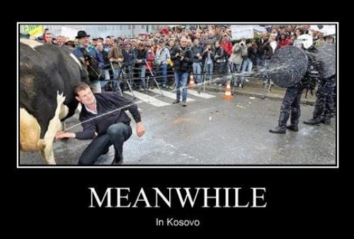 motivated photos funny