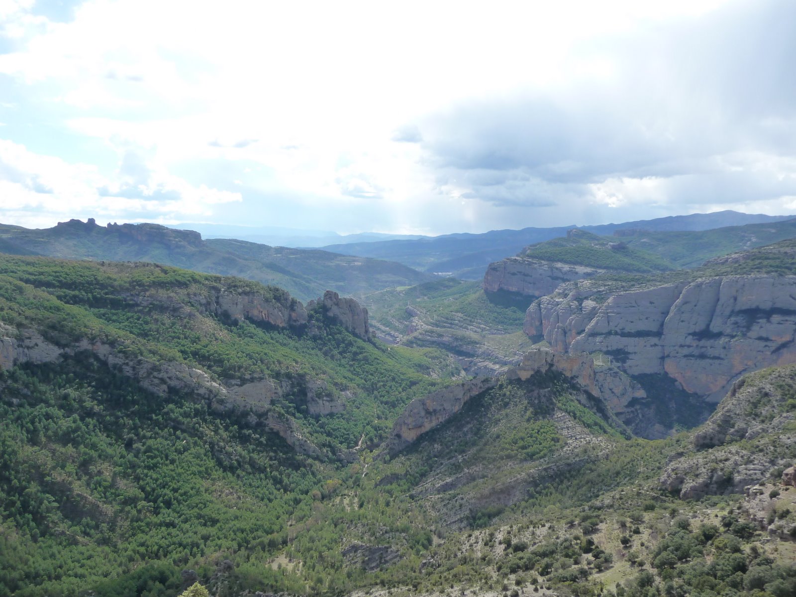 [P1040554.JPG]