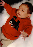 Zander