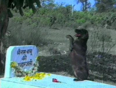 Teri Meherbaniyan Dog
