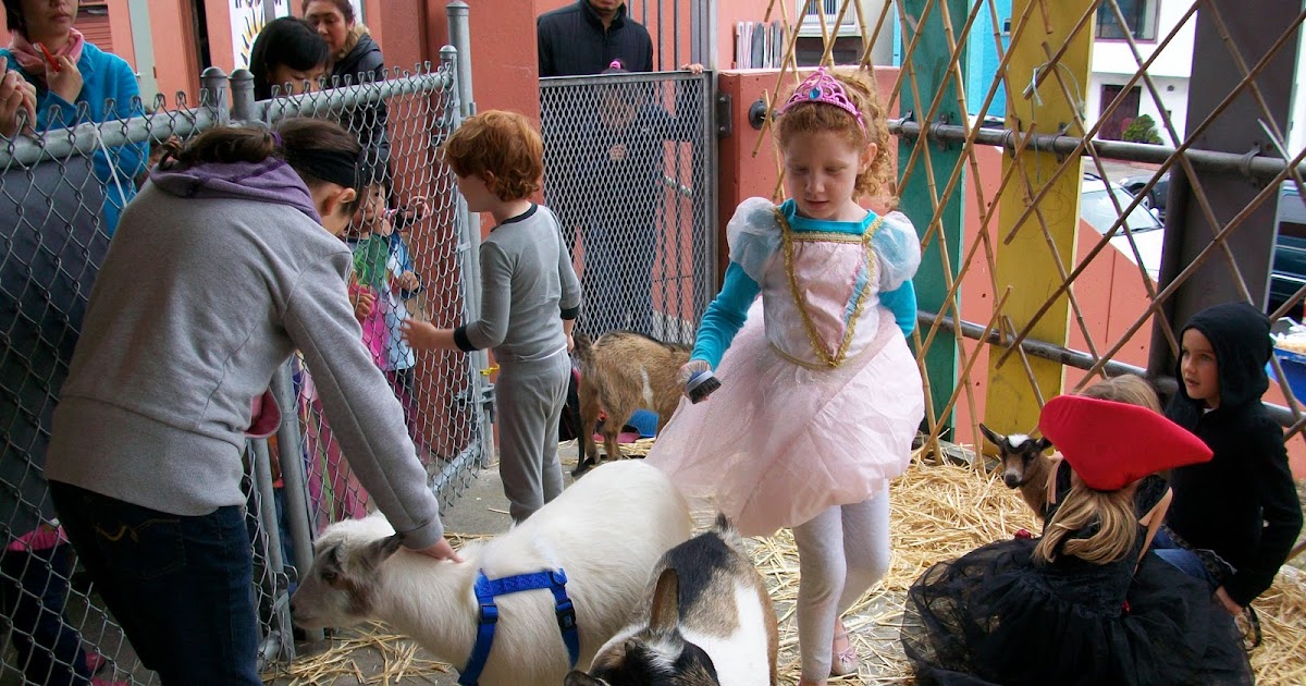 The Itty Bitty Farm in the City Petting Zoo