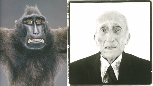 [greenavedoncomp.jpg]