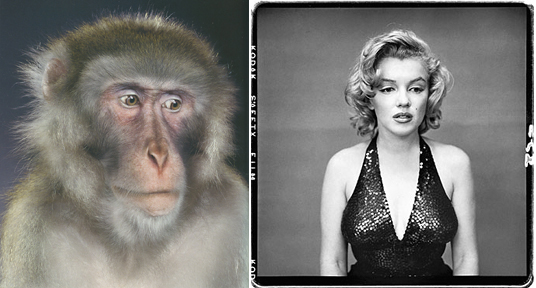 [greenmonroecomp.jpg]