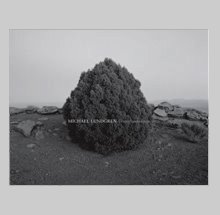 Michael Lundgren: Transfigurations