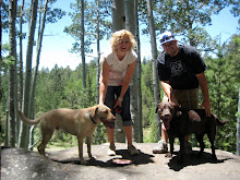 Hiking near Snow Bowl