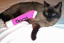 Another Cat