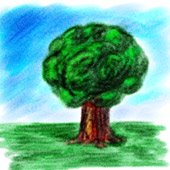 [tree.jpg]