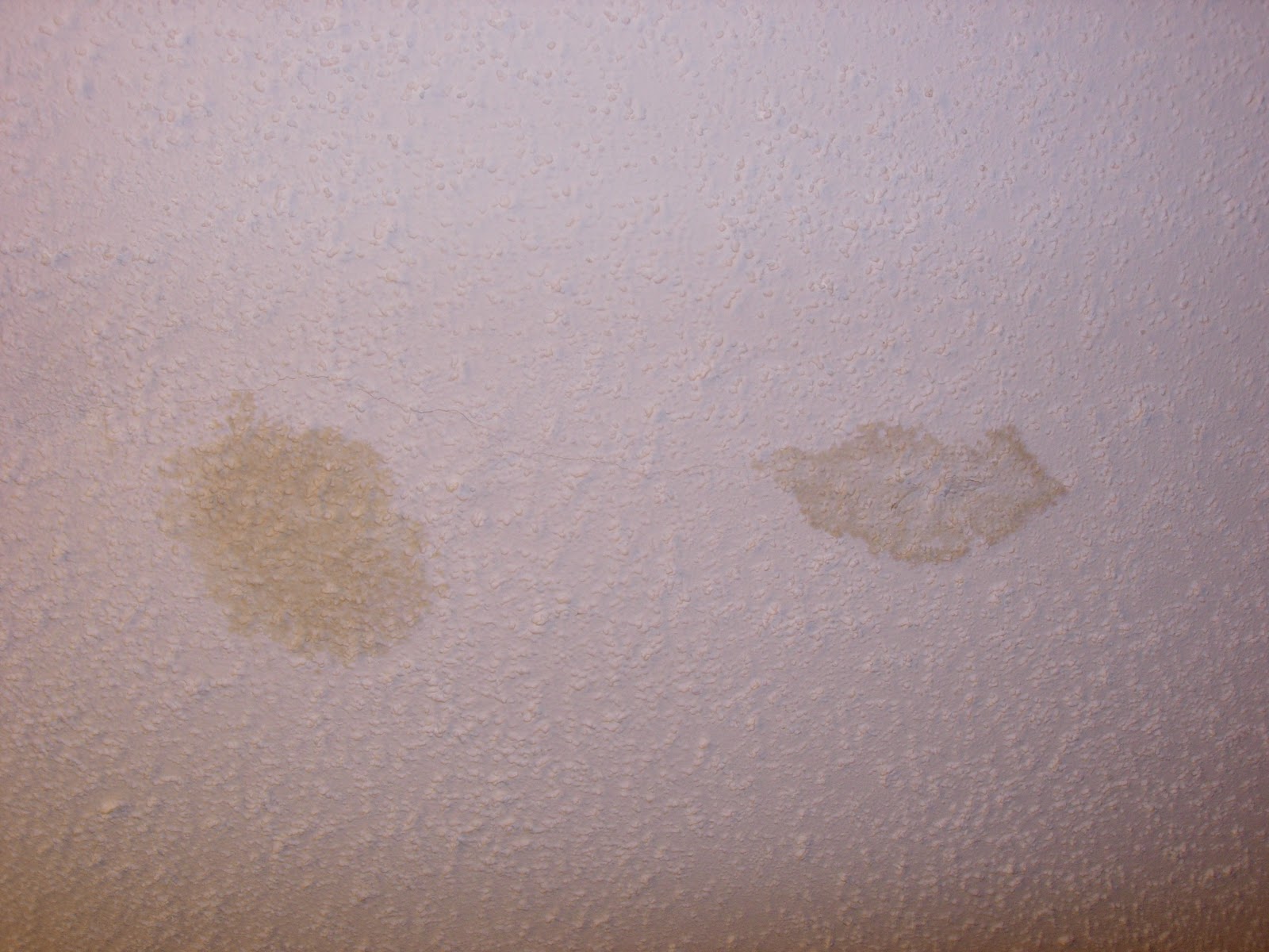 Stuccohouse Seeing Spots