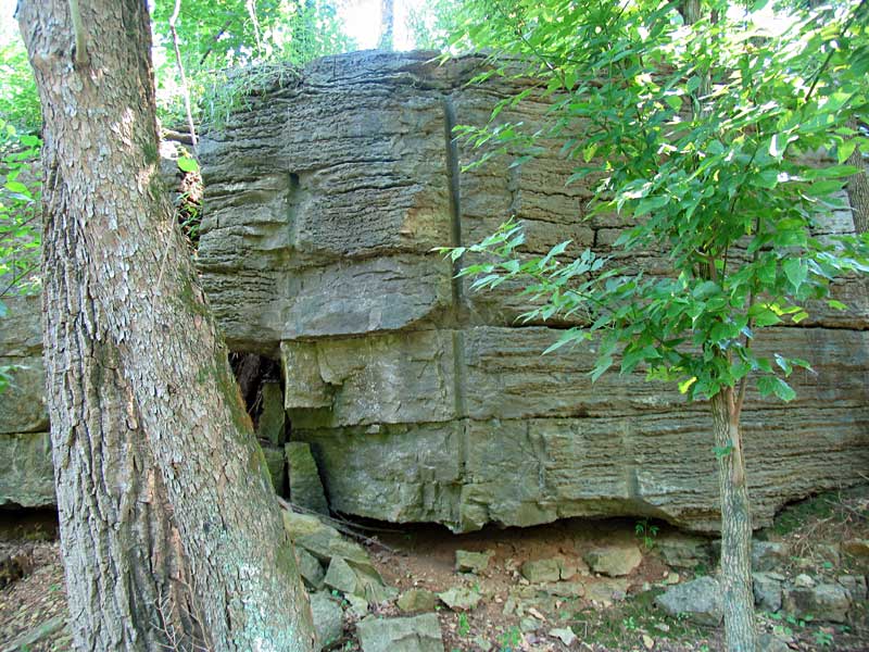 Louisville Fossils and Beyond Beargrass Creek Quarries