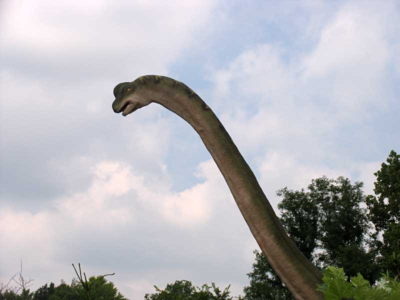 Louisville Fossils and Beyond Dinosaurs! at Louisville Zoo