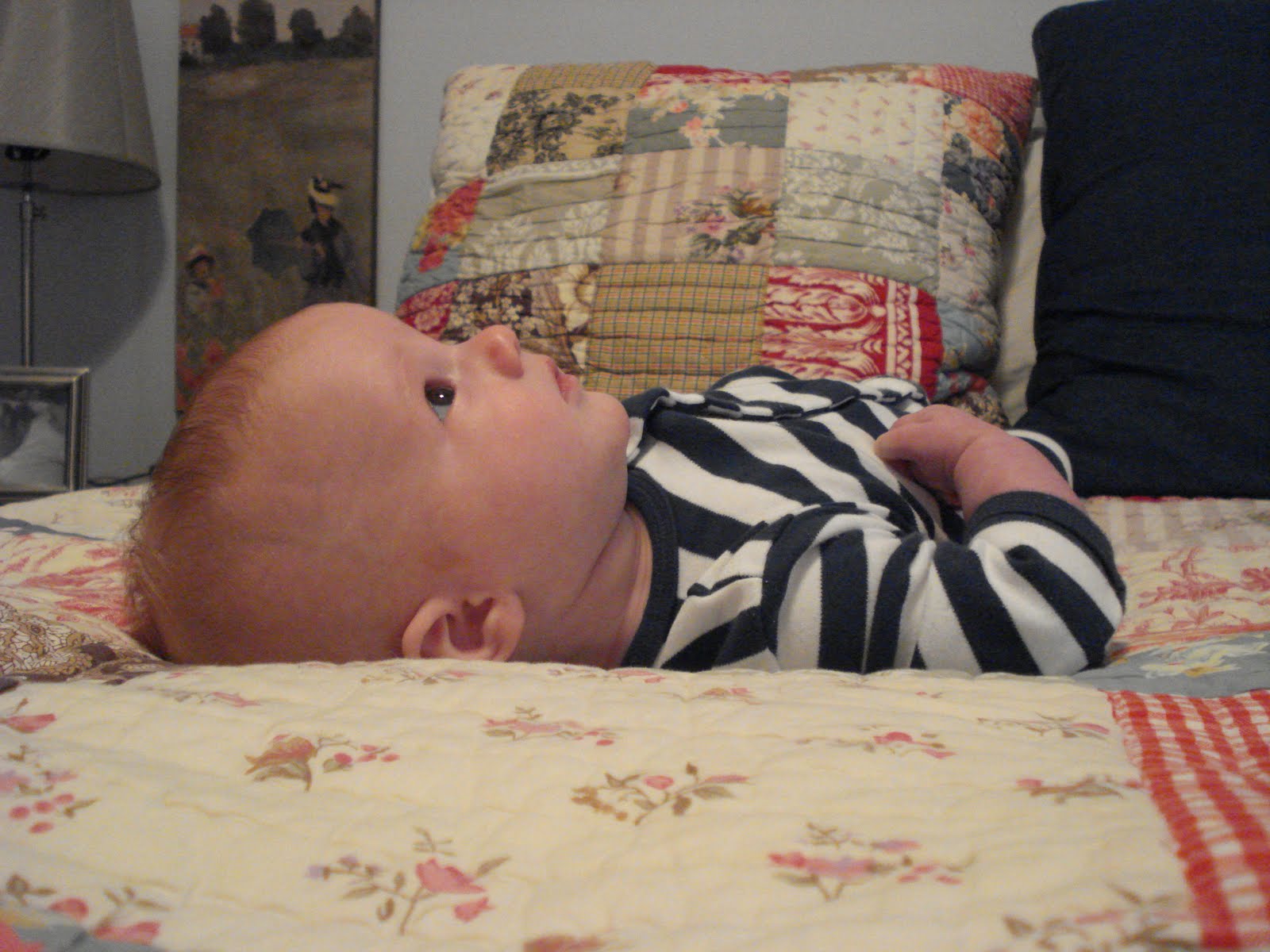 [DSC01693.JPG]