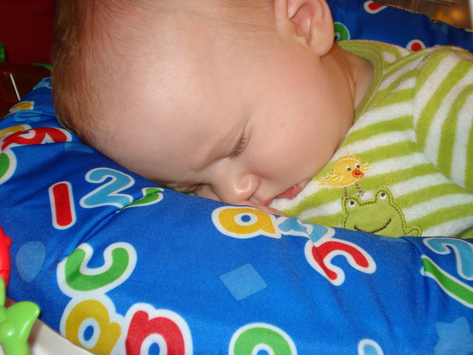 [DSC01867.JPG]