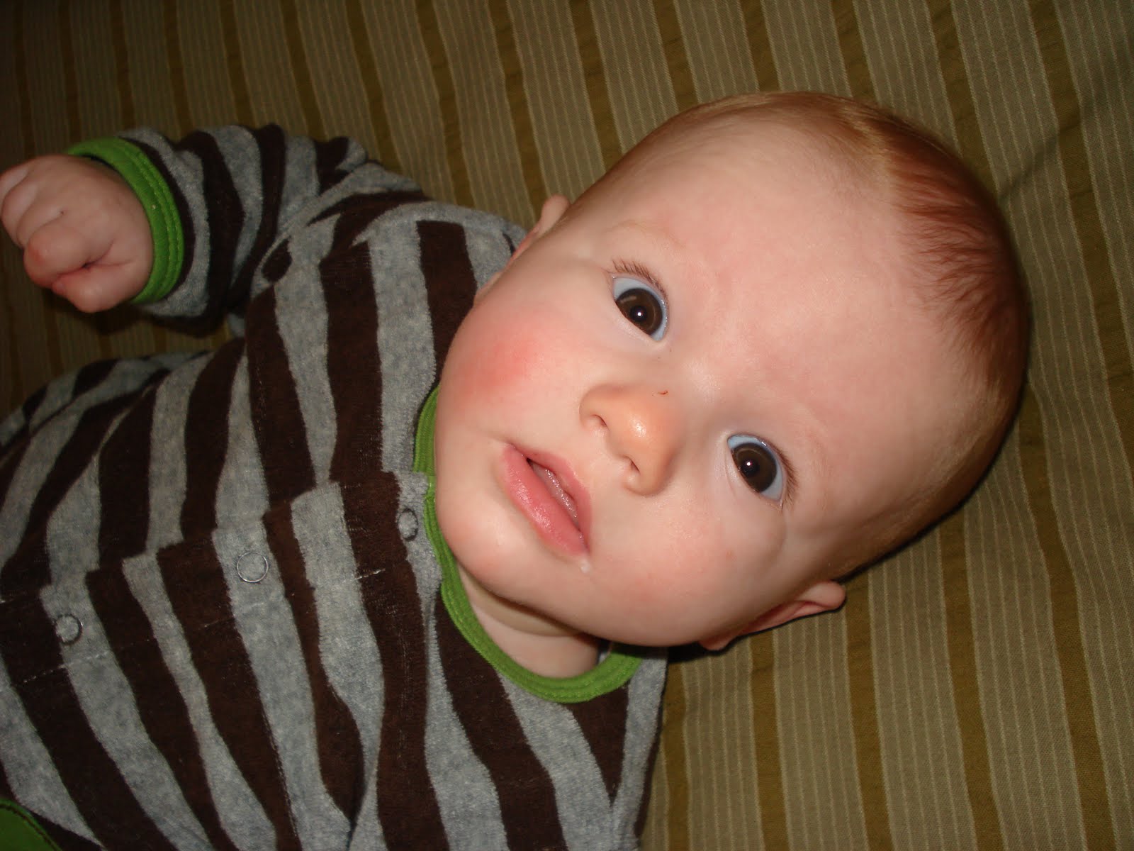 [DSC01812.JPG]