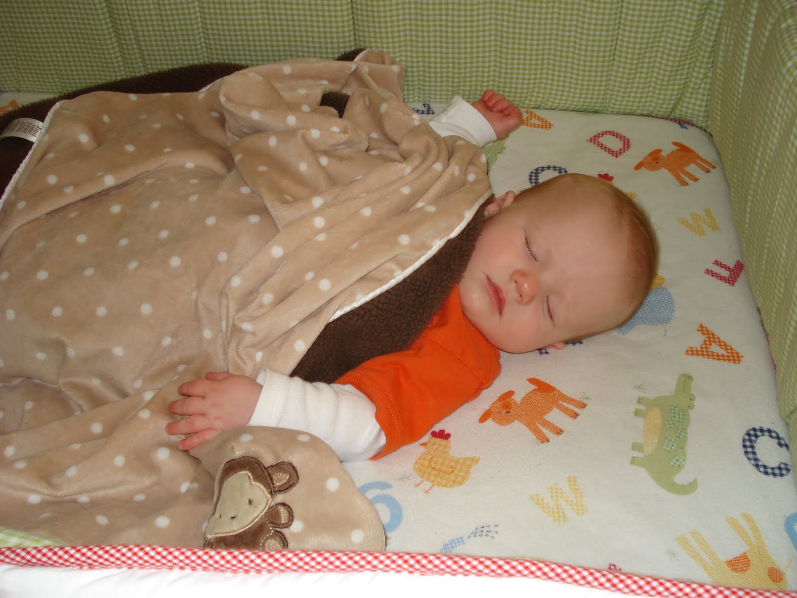 [DSC01906.JPG]