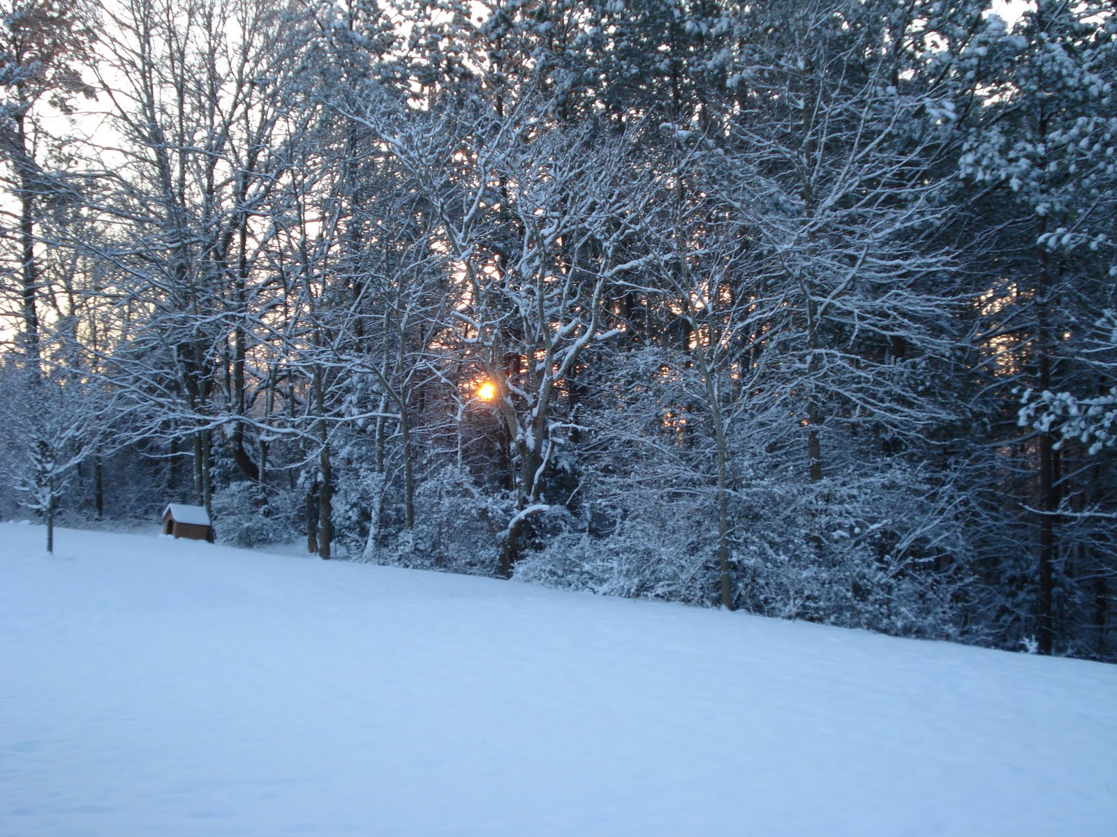 [DSC01986.JPG]