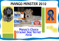 MANGO'S CHOICE AWARD