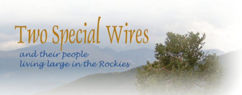TWO SPECIAL WIRES