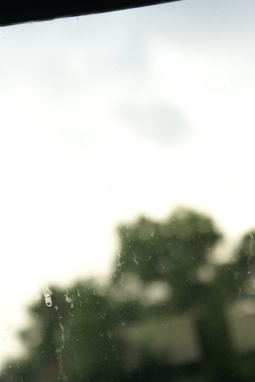 [DSC01153.JPG]