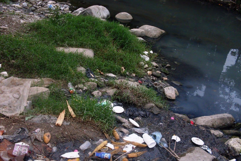 [arroyo_contaminado+(2).JPG]