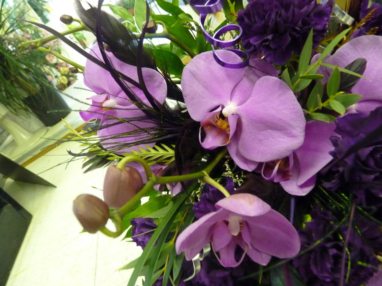 Purple Moon Carnations
