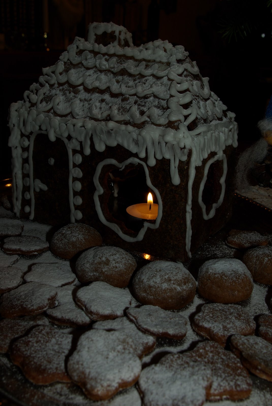 [dets´08+1.+piparkoogimaja+(17).JPG]