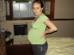 6 meses
