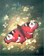 Mein Bild