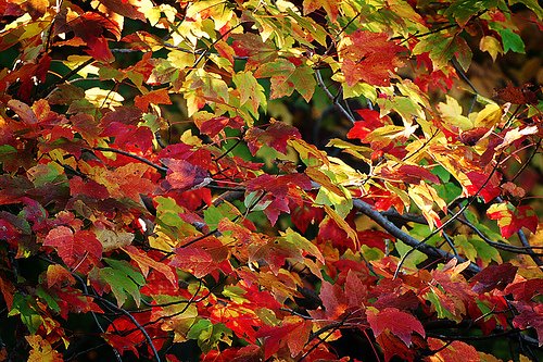 [1680571121_5a2c07cf0d.jpg]