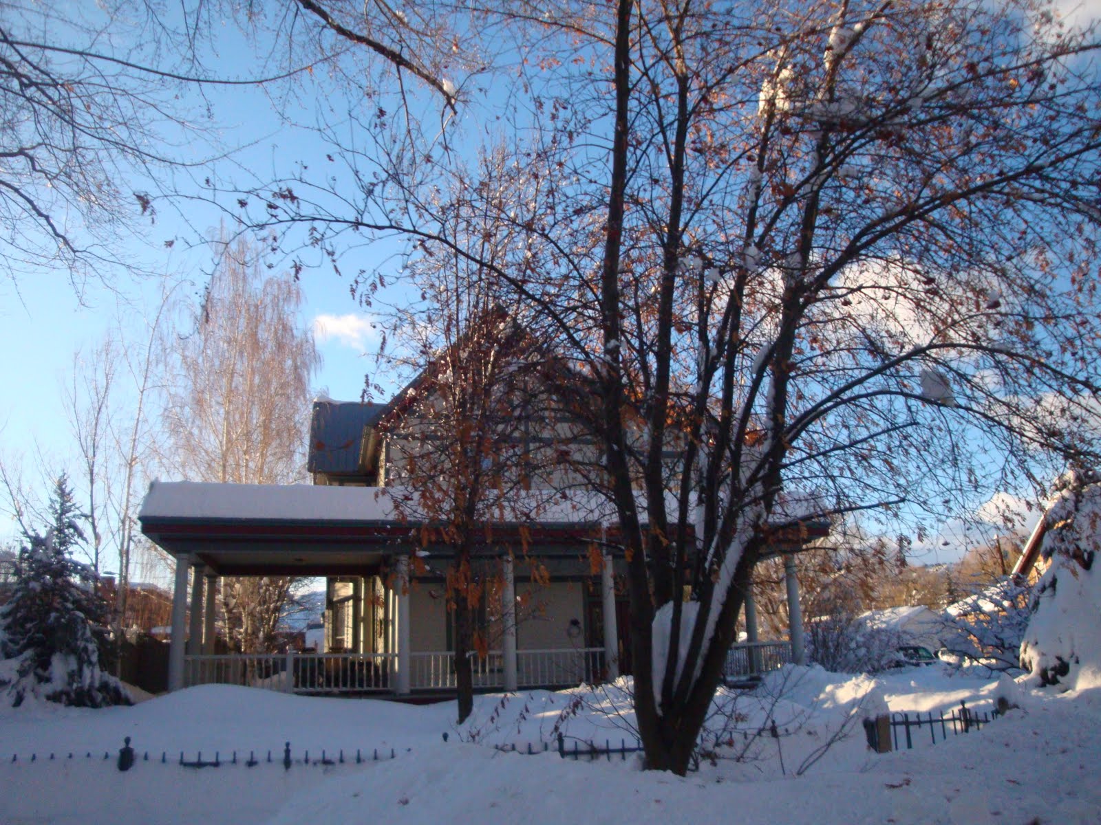 [DSC00586.JPG]