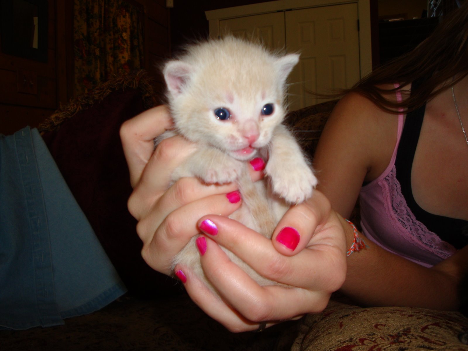 [SeptemberD2008+009.JPG]