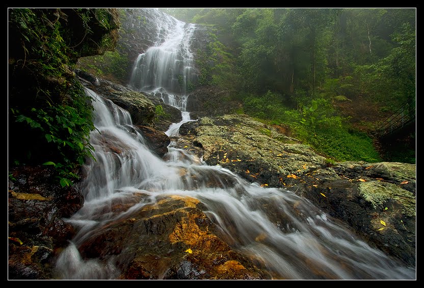 [9e5803ee07e91c21e0086aa0c3bae455.jpg]