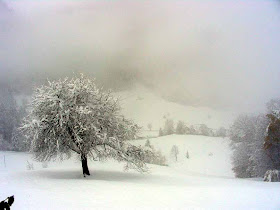 Text Il Werkstatt 2008